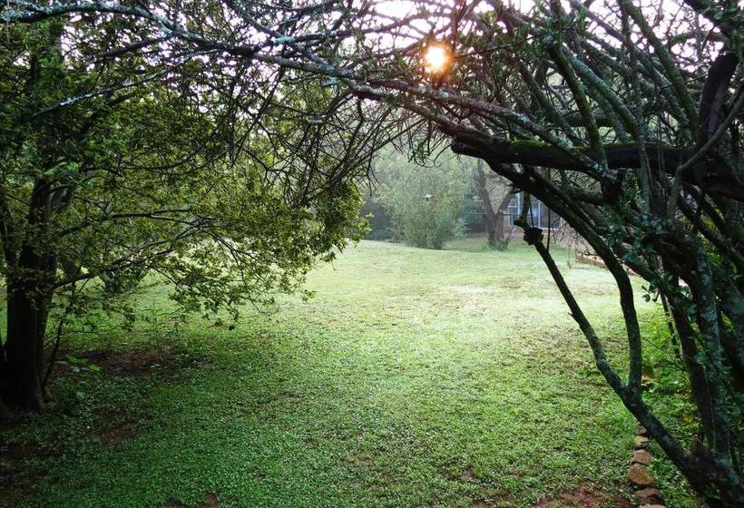 膳宿费 Meerkatplaats Guesthouse And B&b