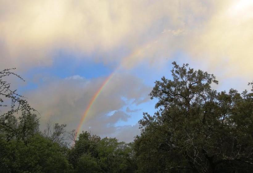 膳宿费 Meerkatplaats Guesthouse And B&b