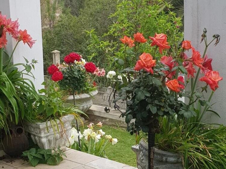 פנסיון Terra Bianca