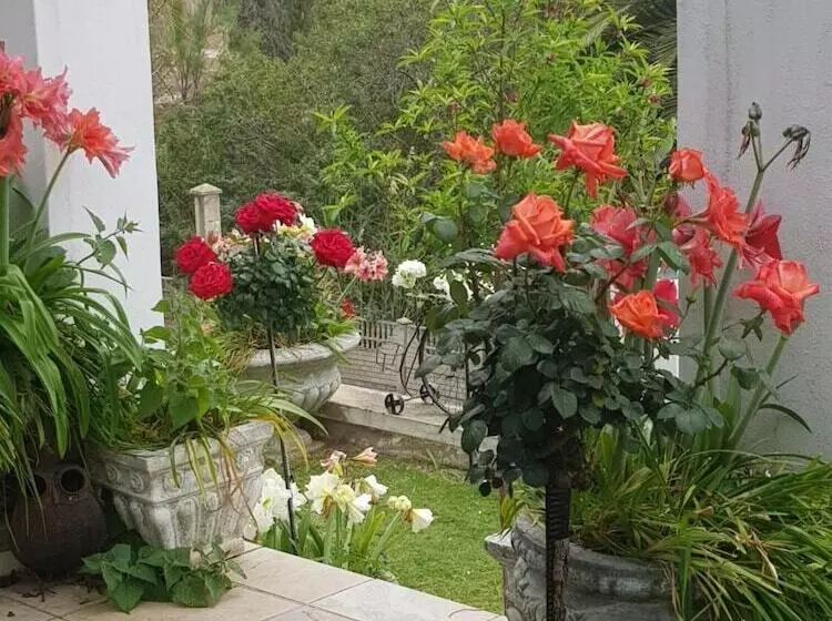 Majatalo Terra Bianca