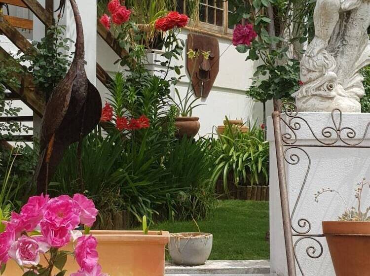 פנסיון Terra Bianca