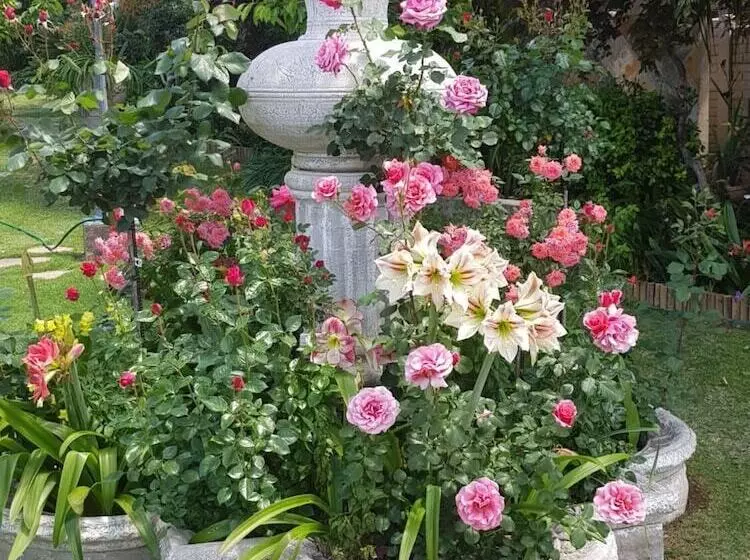 Majatalo Terra Bianca