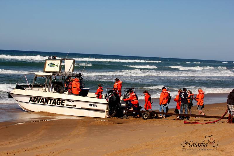 פנסיון The Sandpiper