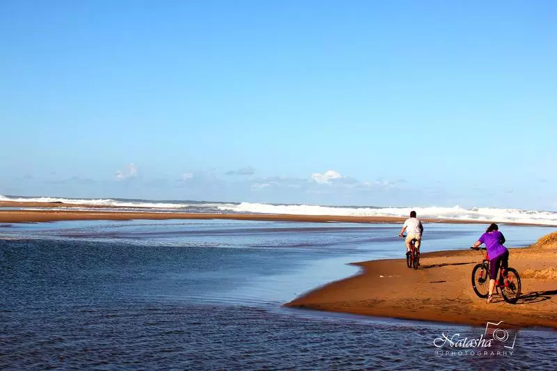 پانسیون The Sandpiper