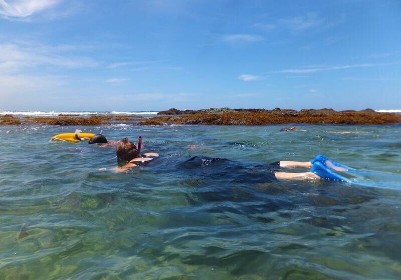 פנסיון The Sandpiper