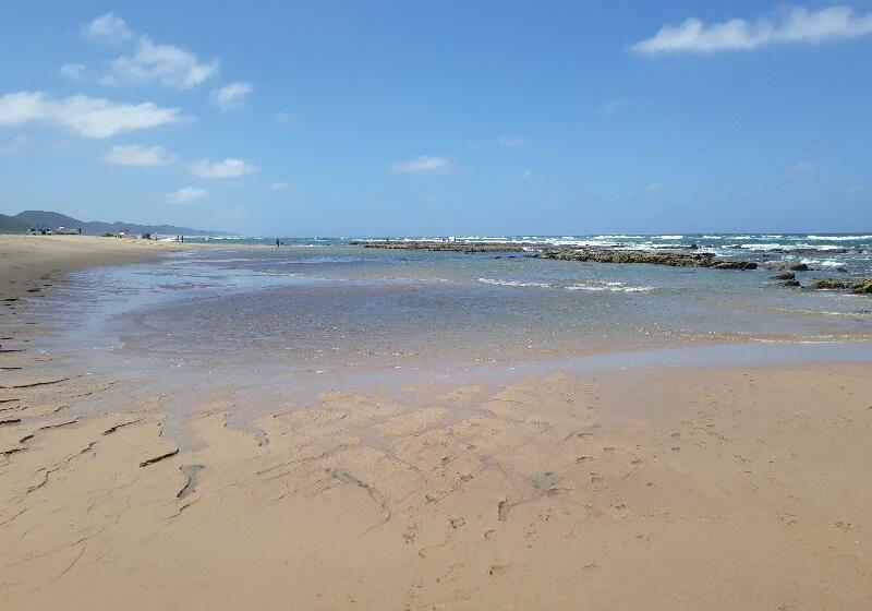 פנסיון The Sandpiper