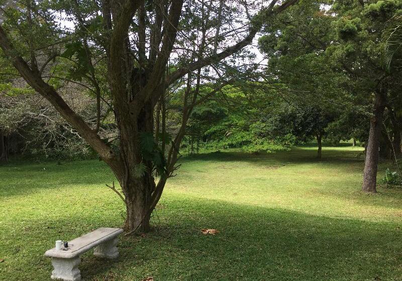 פנסיון The Sandpiper