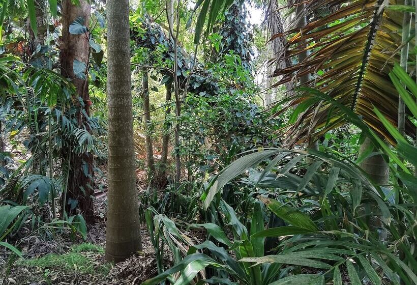 Отель Zimbali Lodge By Dream Resorts