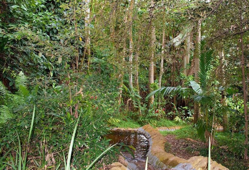 Отель Zimbali Lodge By Dream Resorts