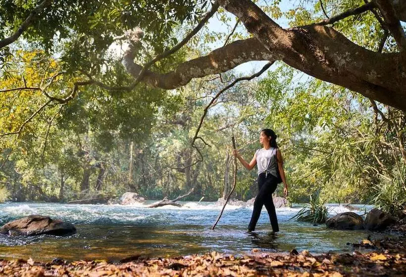 Whistling Woodzs Resort