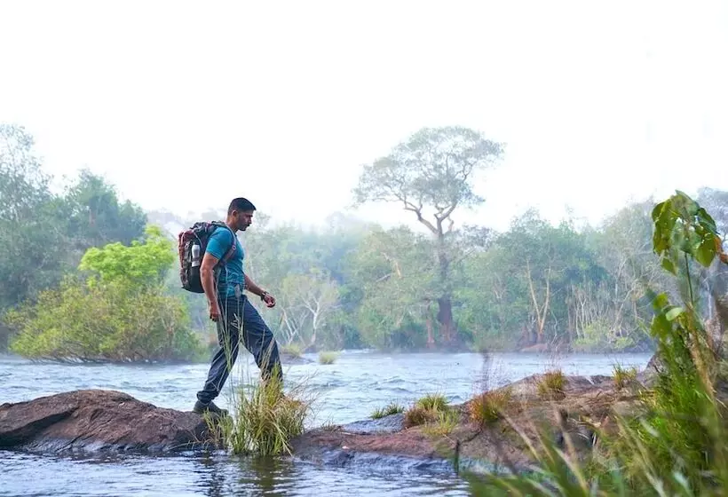 Whistling Woodzs Resort