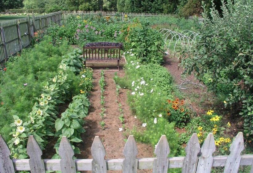 ベッドアンドブレックファースト Ashby Inn & Restaurant