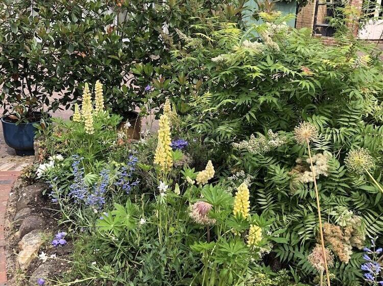 مبيت وإفطار The Blue Cow