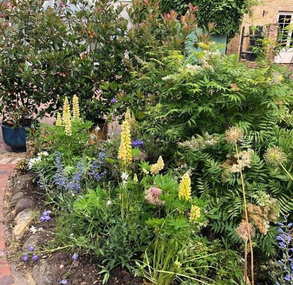 مبيت وإفطار The Blue Cow