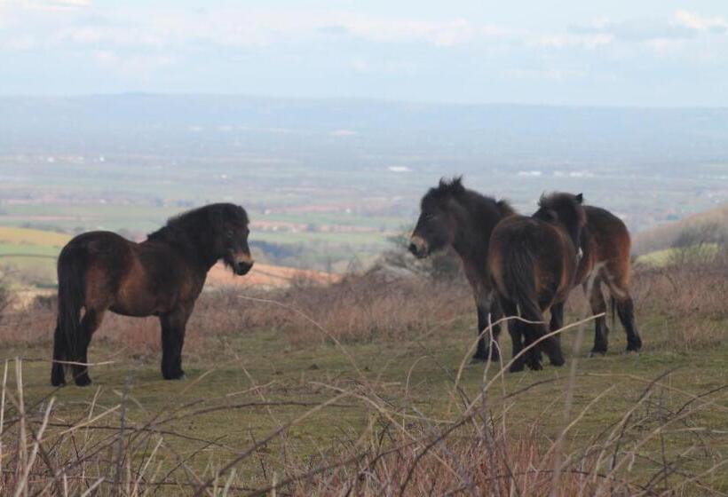 צימר The School House