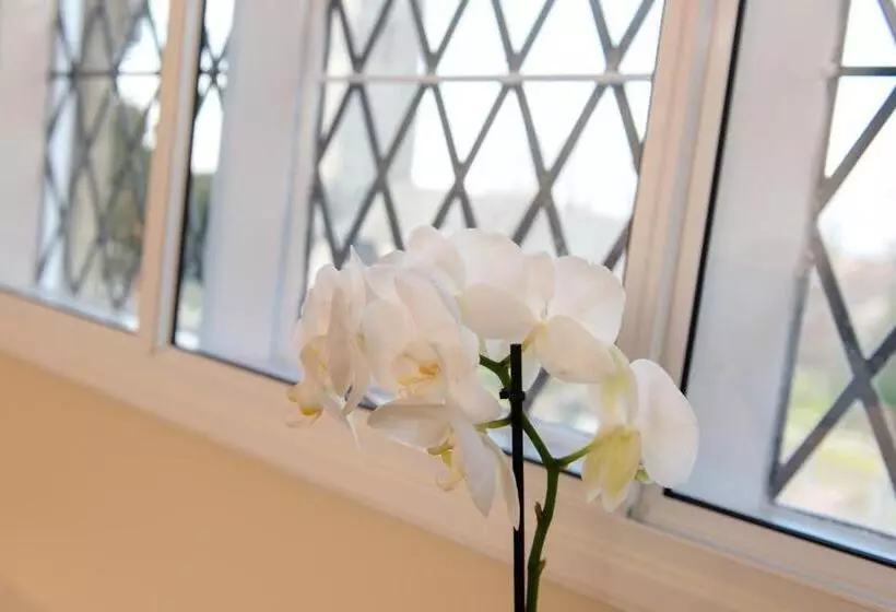 Aamiaismajoitus (B&B) The School House