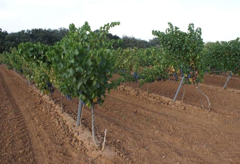 Casa Rural Magnanimvs