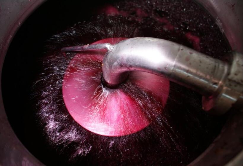 Casa Rural Magnanimvs