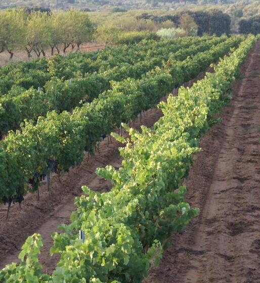 Casa Rural Magnanimvs