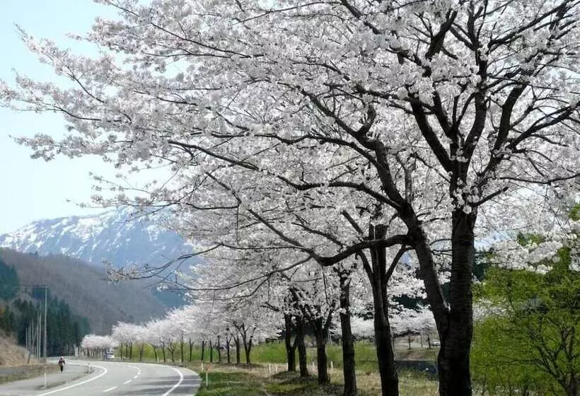 Hotelli Sierra Resort Yuzawa