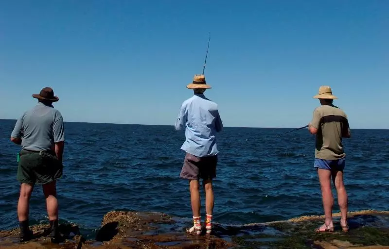 ホテル The Palms At Avoca