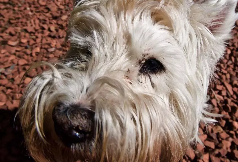 Muirholm Bed & Breakfast