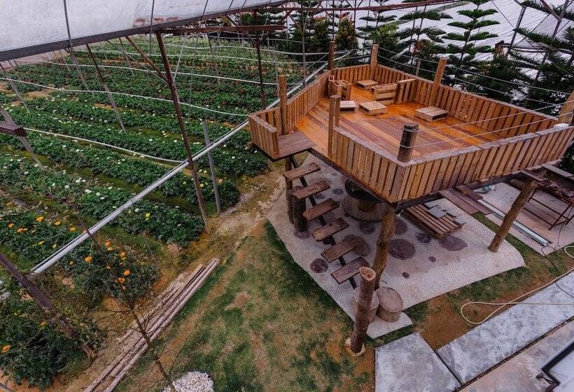 Westwood Highland  Hostel