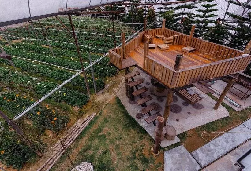 Westwood Highland  Hostel