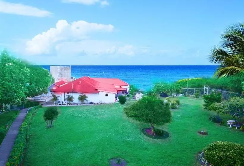 Garden Beach Studios At Montego Bay Club