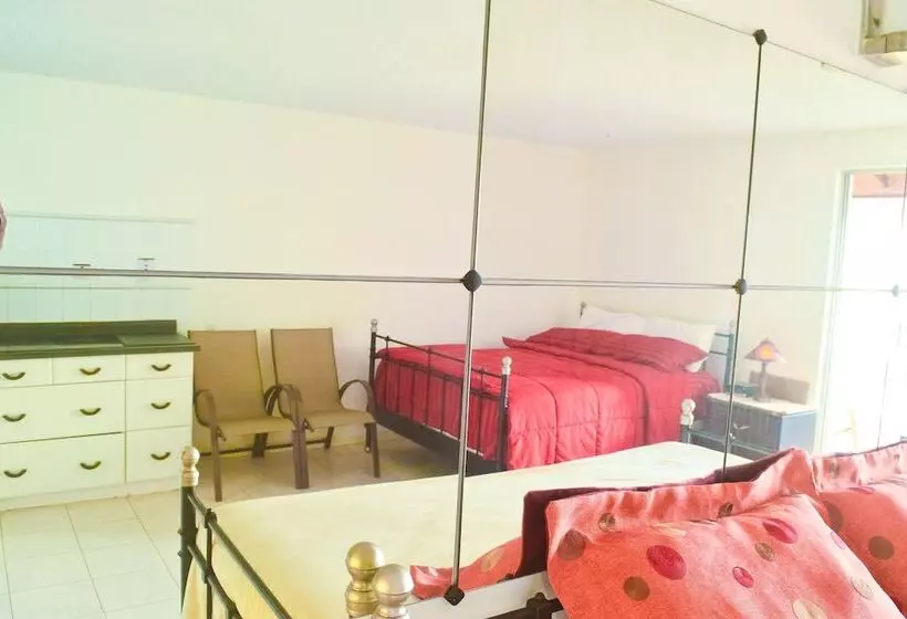 Garden Beach Studios At Montego Bay Club