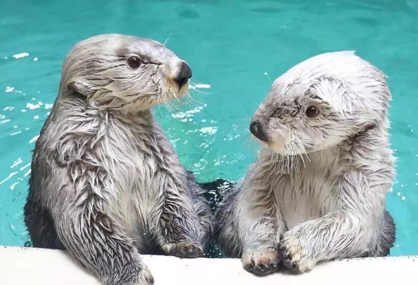 Hotelli Ooedo Onsen Monogatari Premium Toba Saichoraku