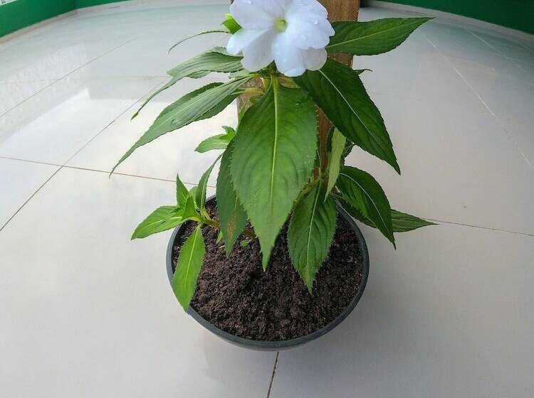 Praieira Hostel&pousada