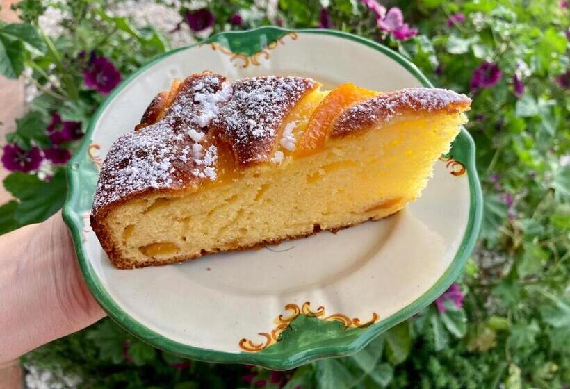 ホテル Agriturismo Camponovo