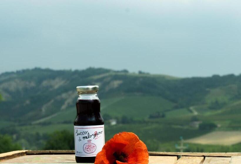 ホテル Agriturismo Camponovo