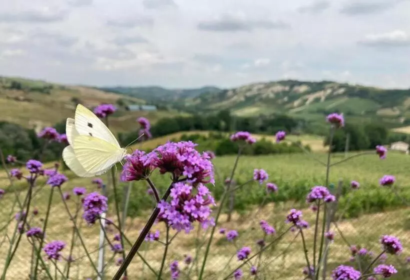 ホテル Agriturismo Camponovo