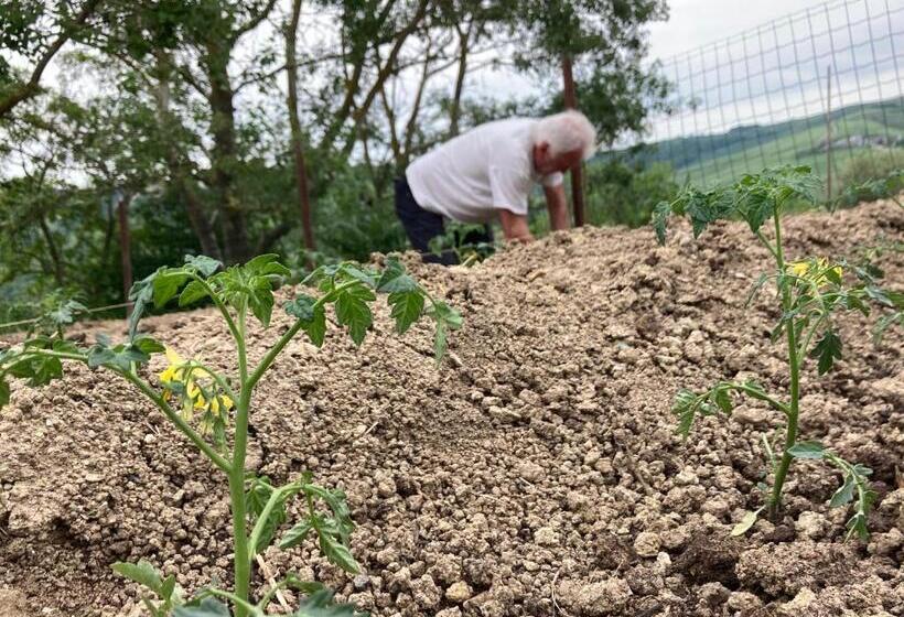 ホテル Agriturismo Camponovo