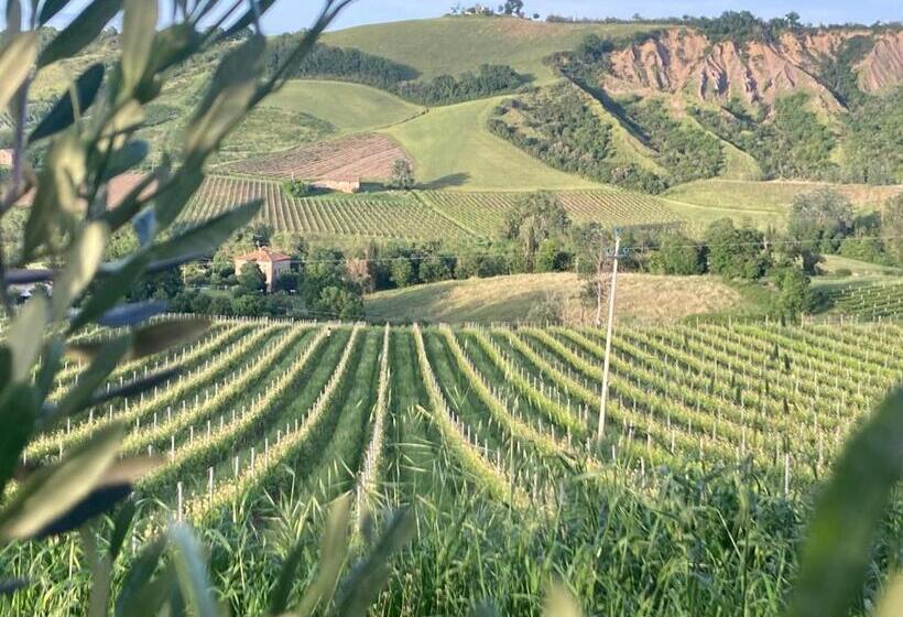 ホテル Agriturismo Camponovo