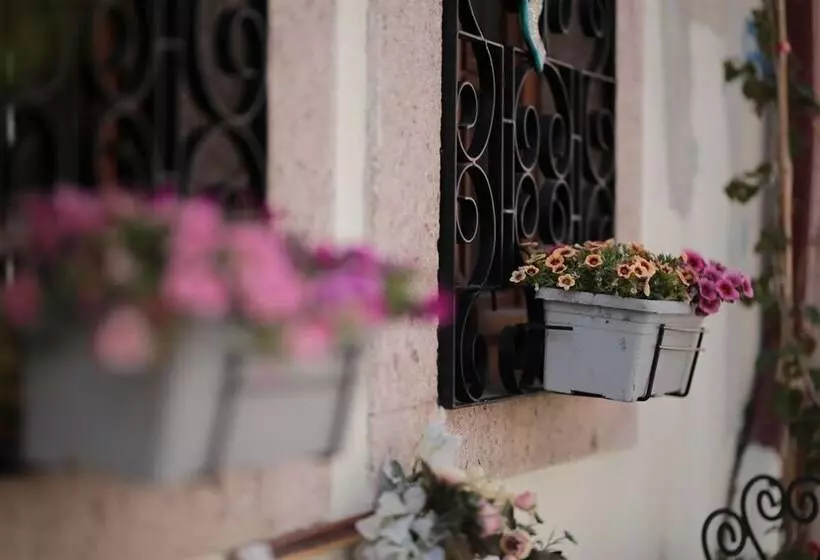 ホテル Ayvalık Palacitta Guesthouse