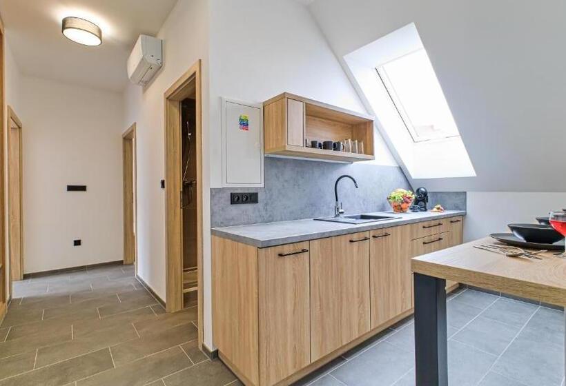 פנסיון Salaška Penzion