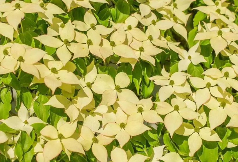 Aamiaismajoitus (B&B) The Waldoboro Inn Room 3