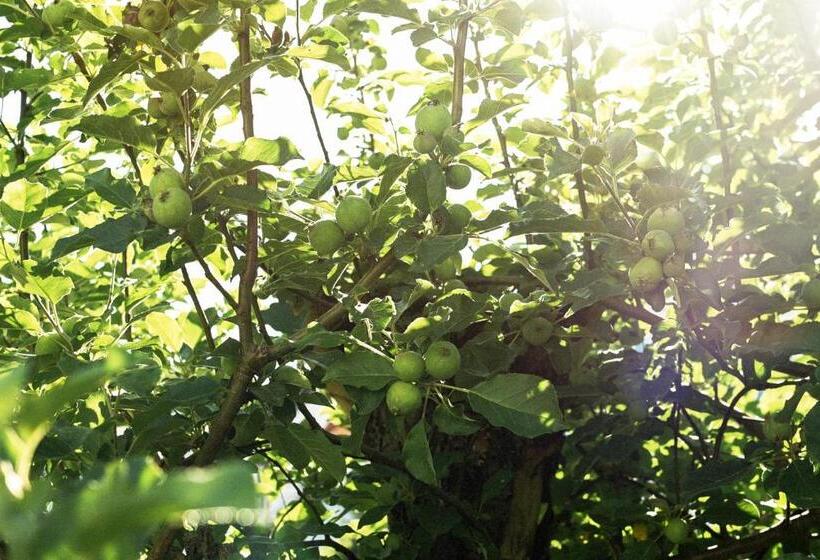 Bed and Breakfast The Waldoboro Inn Room 3