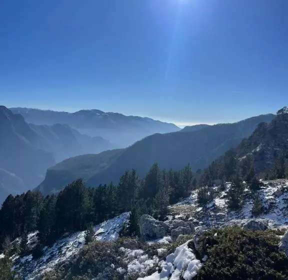 ペンション Turi Selcë