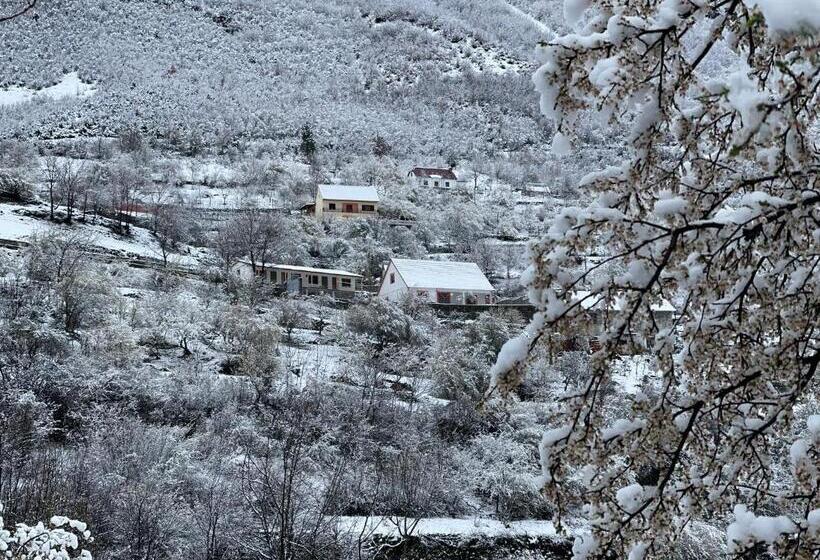 پانسیون Turi Selcë