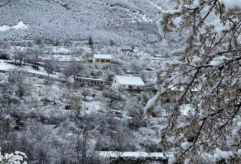 ペンション Turi Selcë