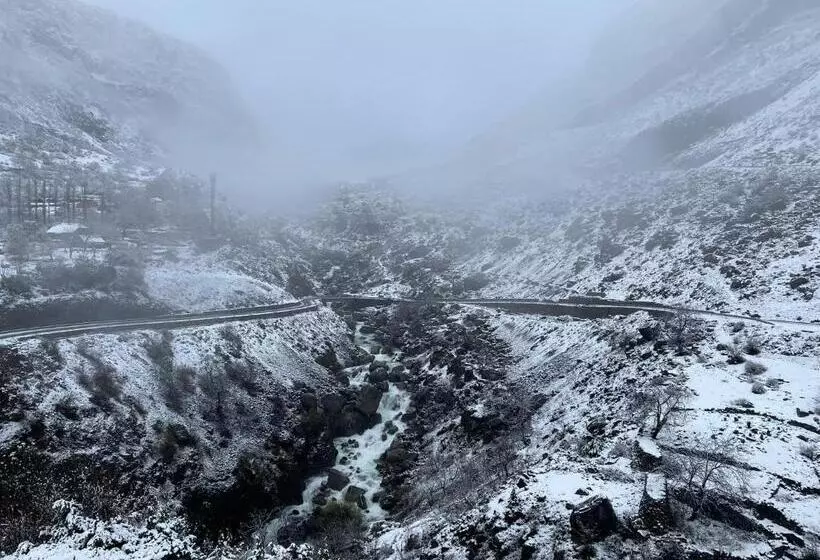 ペンション Turi Selcë