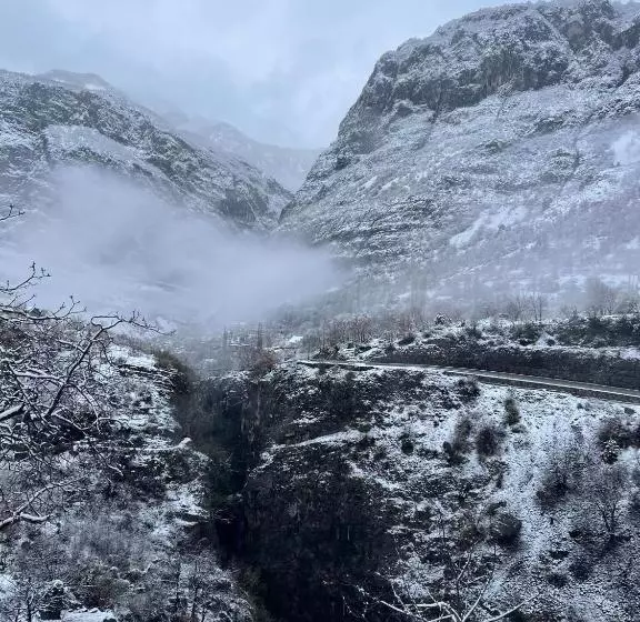 ペンション Turi Selcë