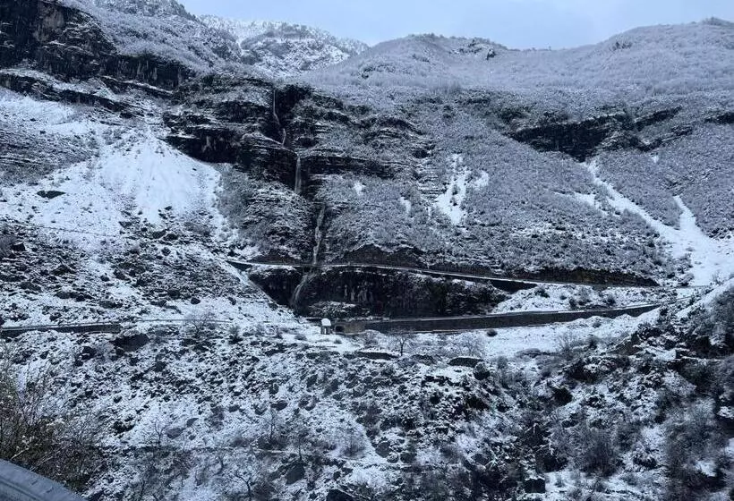 ペンション Turi Selcë