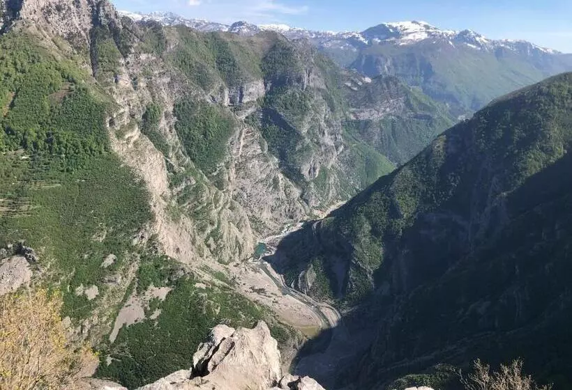 ペンション Turi Selcë