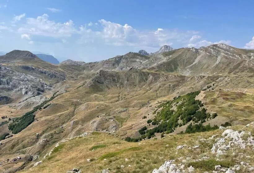 ペンション Turi Selcë