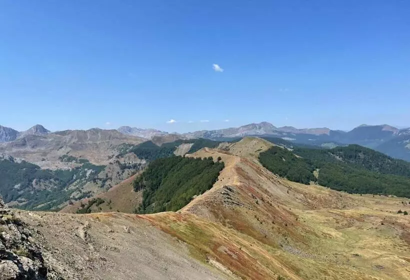 ペンション Turi Selcë